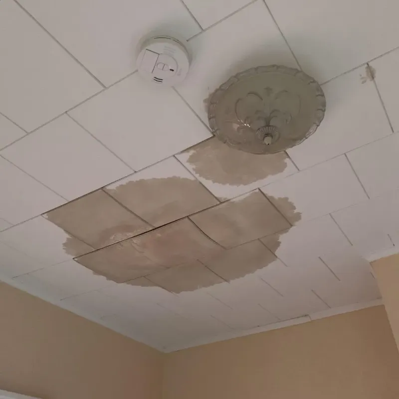 Ceiling Water Damage Repair in Royal Palm Estates, FL